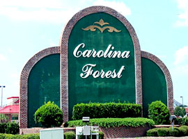Carolina Forest Homes for Sale